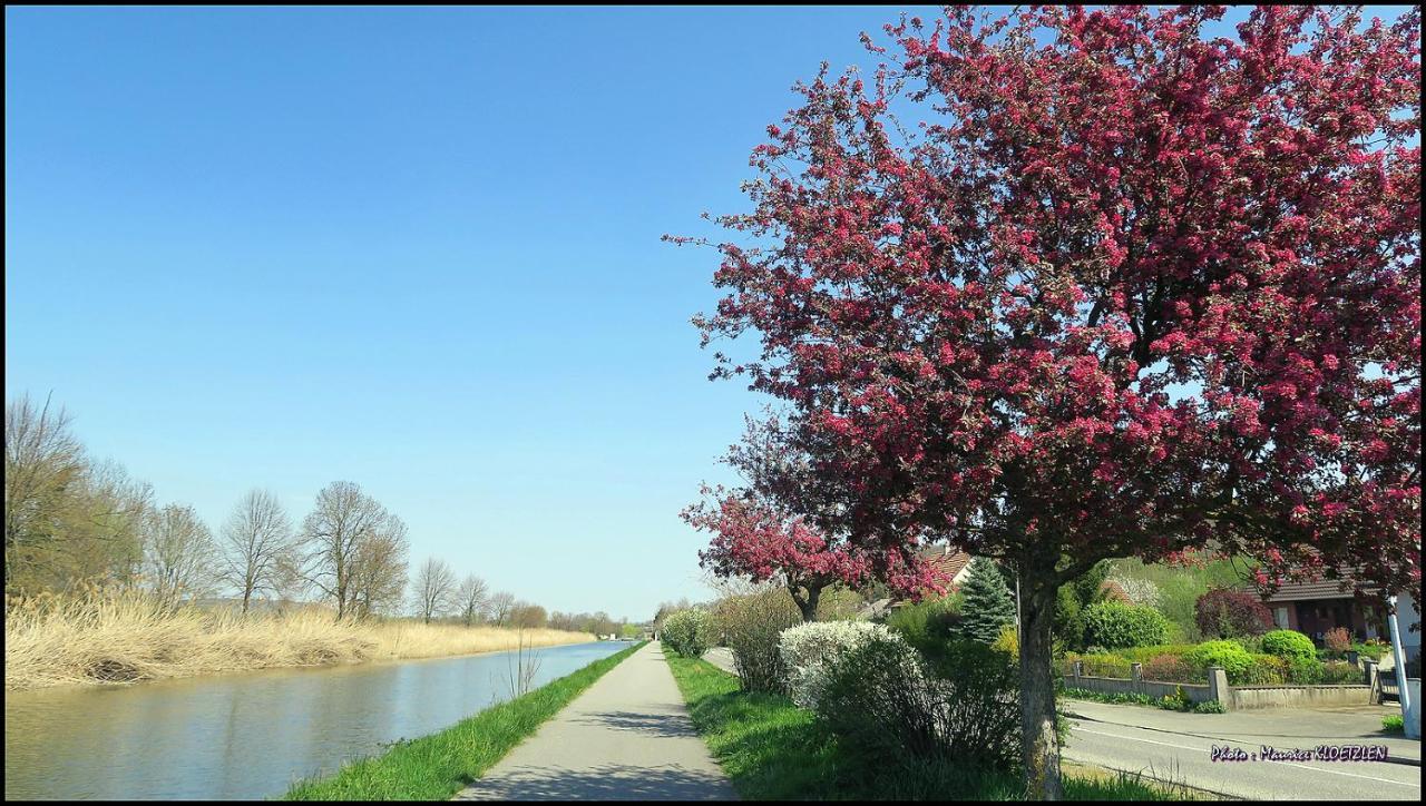 Gites D'Illfurth Bagian luar foto